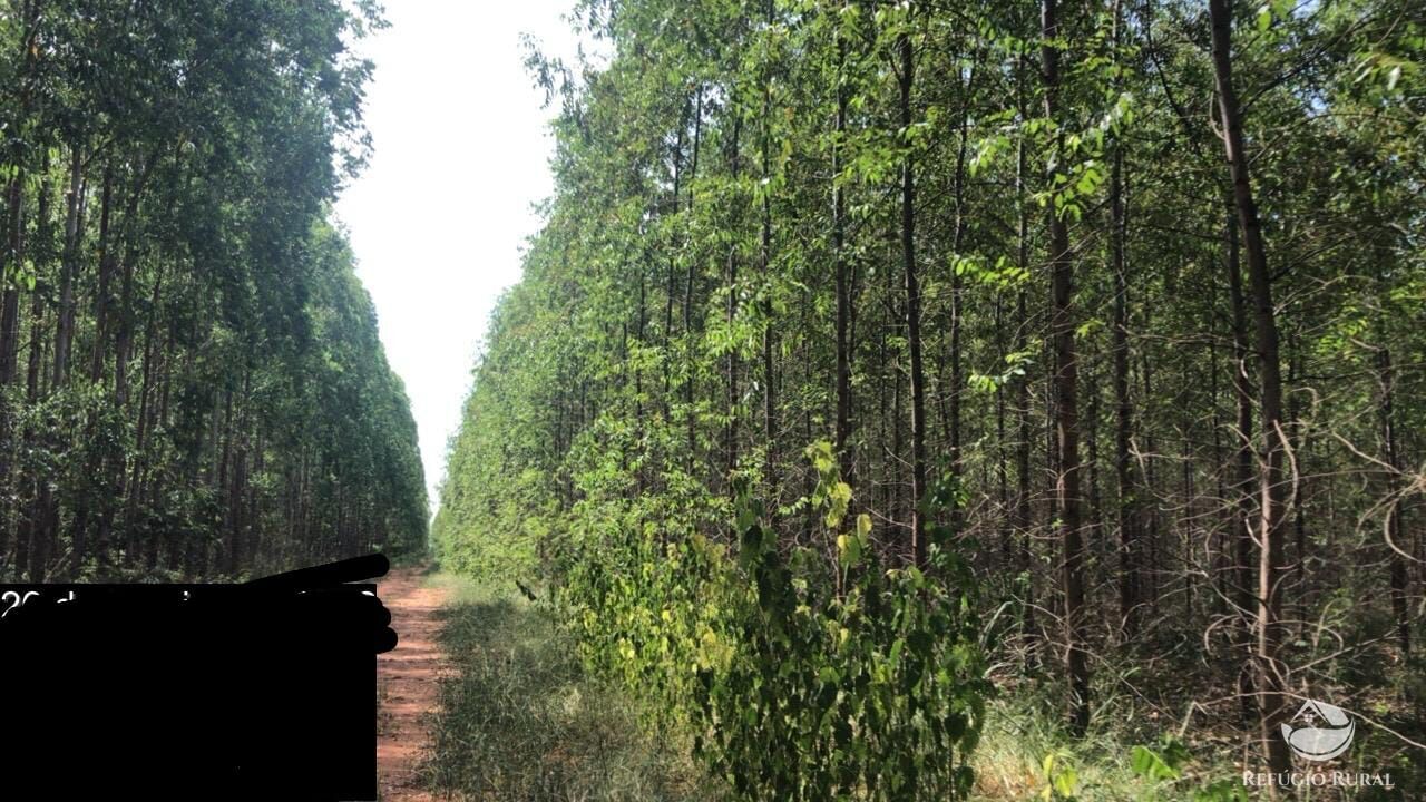 Fazenda-Sítio-Chácara, 8712 hectares - Foto 3