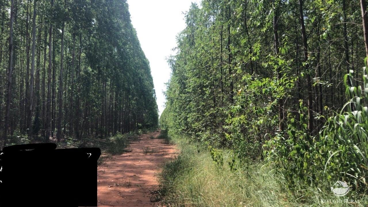 Fazenda-Sítio-Chácara, 8712 hectares - Foto 2