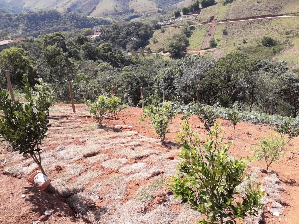 Terreno, 2300 m² - Foto 9