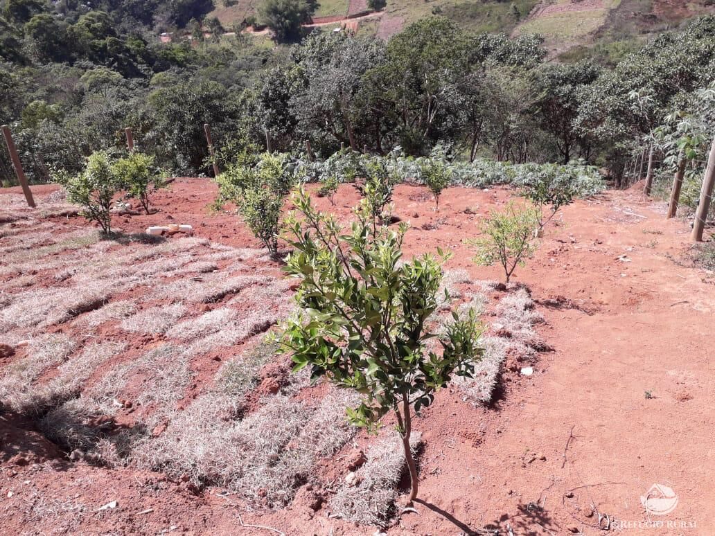 Terreno, 2300 m² - Foto 1