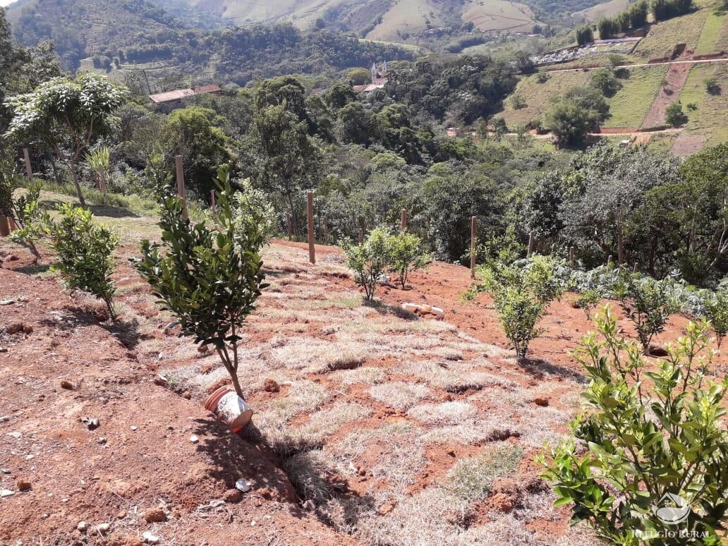 Terreno, 2300 m² - Foto 10