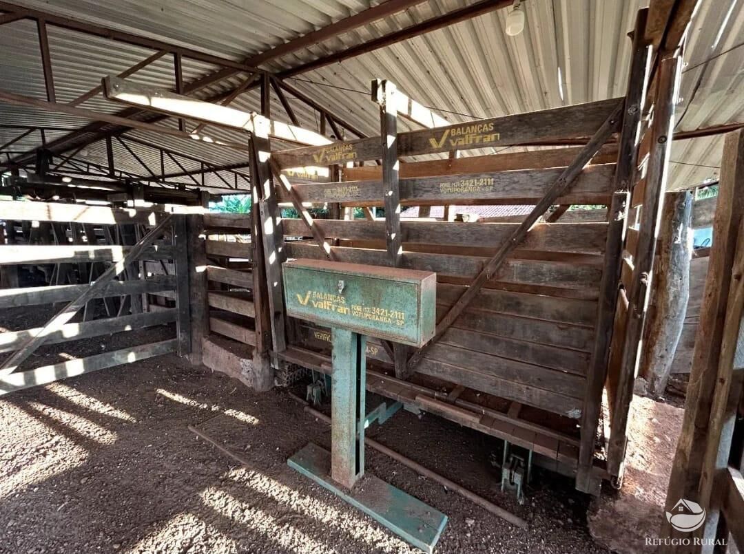 Fazenda à venda com 3 quartos, 8833000m² - Foto 11