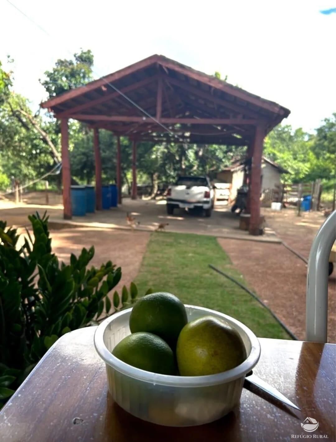 Fazenda à venda com 3 quartos, 8833000m² - Foto 9