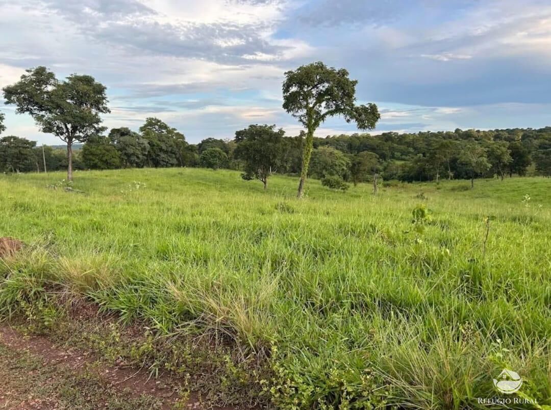 Fazenda à venda com 3 quartos, 8833000m² - Foto 14