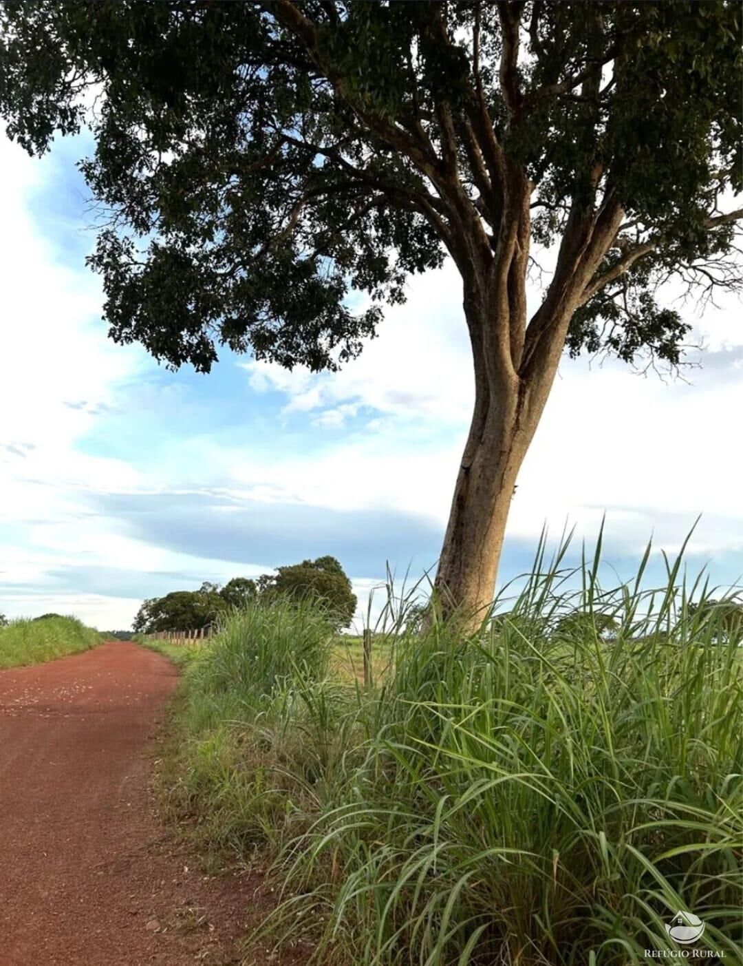 Fazenda à venda com 3 quartos, 8833000m² - Foto 10