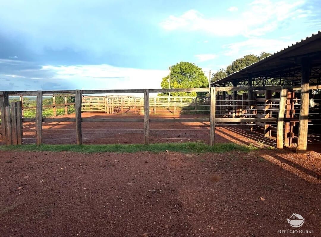 Fazenda à venda com 3 quartos, 8833000m² - Foto 13