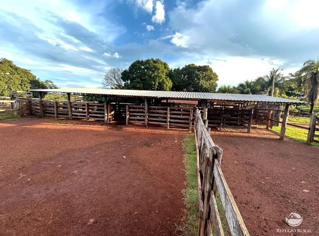 Fazenda à venda com 3 quartos, 8833000m² - Foto 4