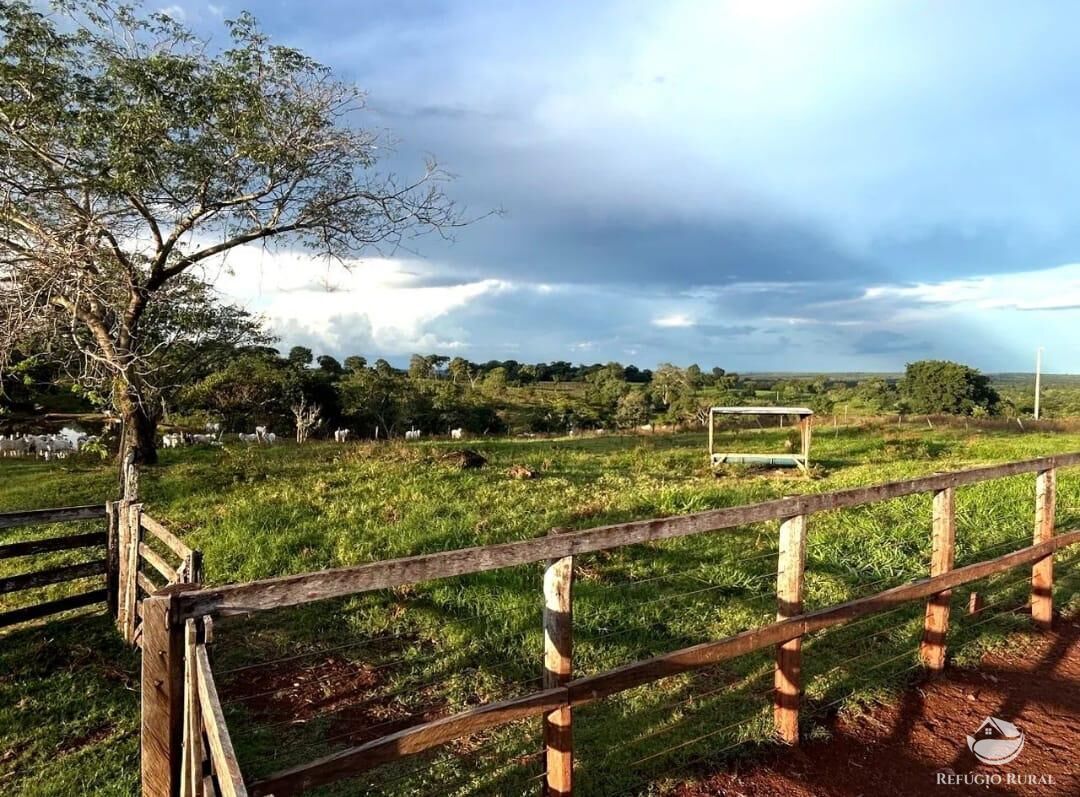 Fazenda à venda com 3 quartos, 8833000m² - Foto 3