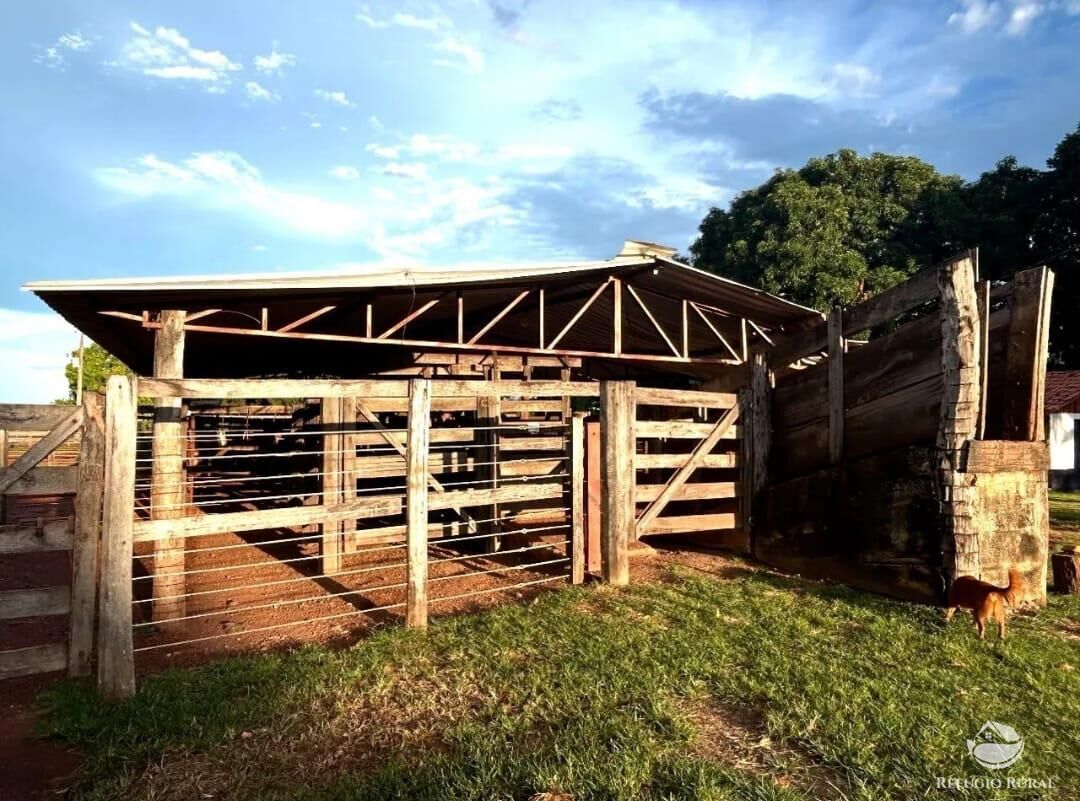 Fazenda à venda com 3 quartos, 8833000m² - Foto 6