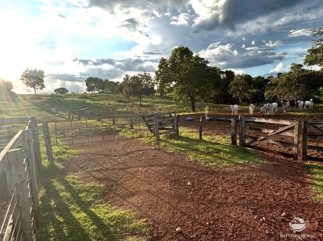 Fazenda à venda com 3 quartos, 8833000m² - Foto 1