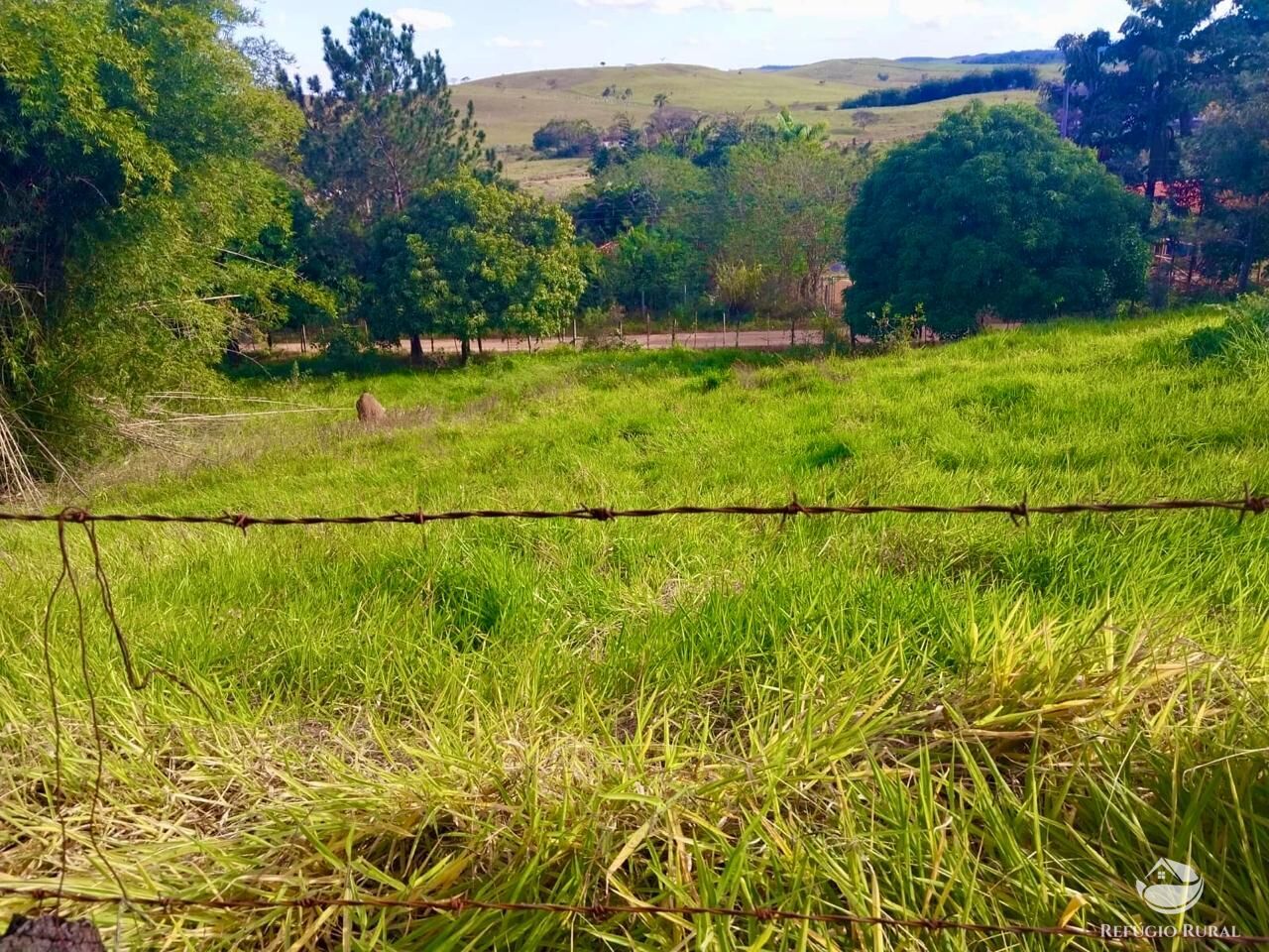 Chácara, 2 quartos, 2 hectares - Foto 4