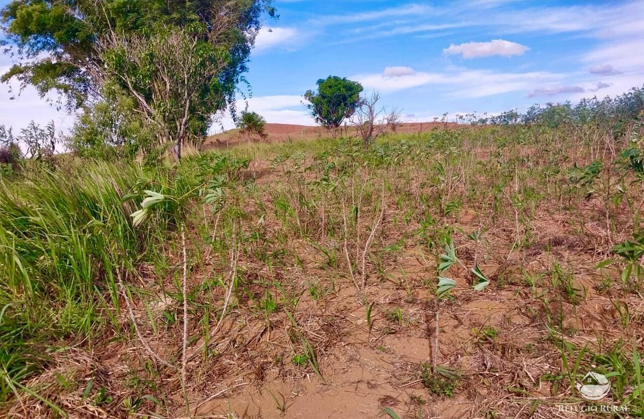 Chácara, 2 quartos, 2 hectares - Foto 20