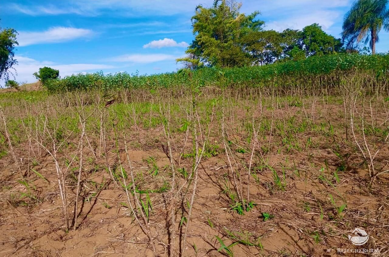 Chácara, 2 quartos, 2 hectares - Foto 22