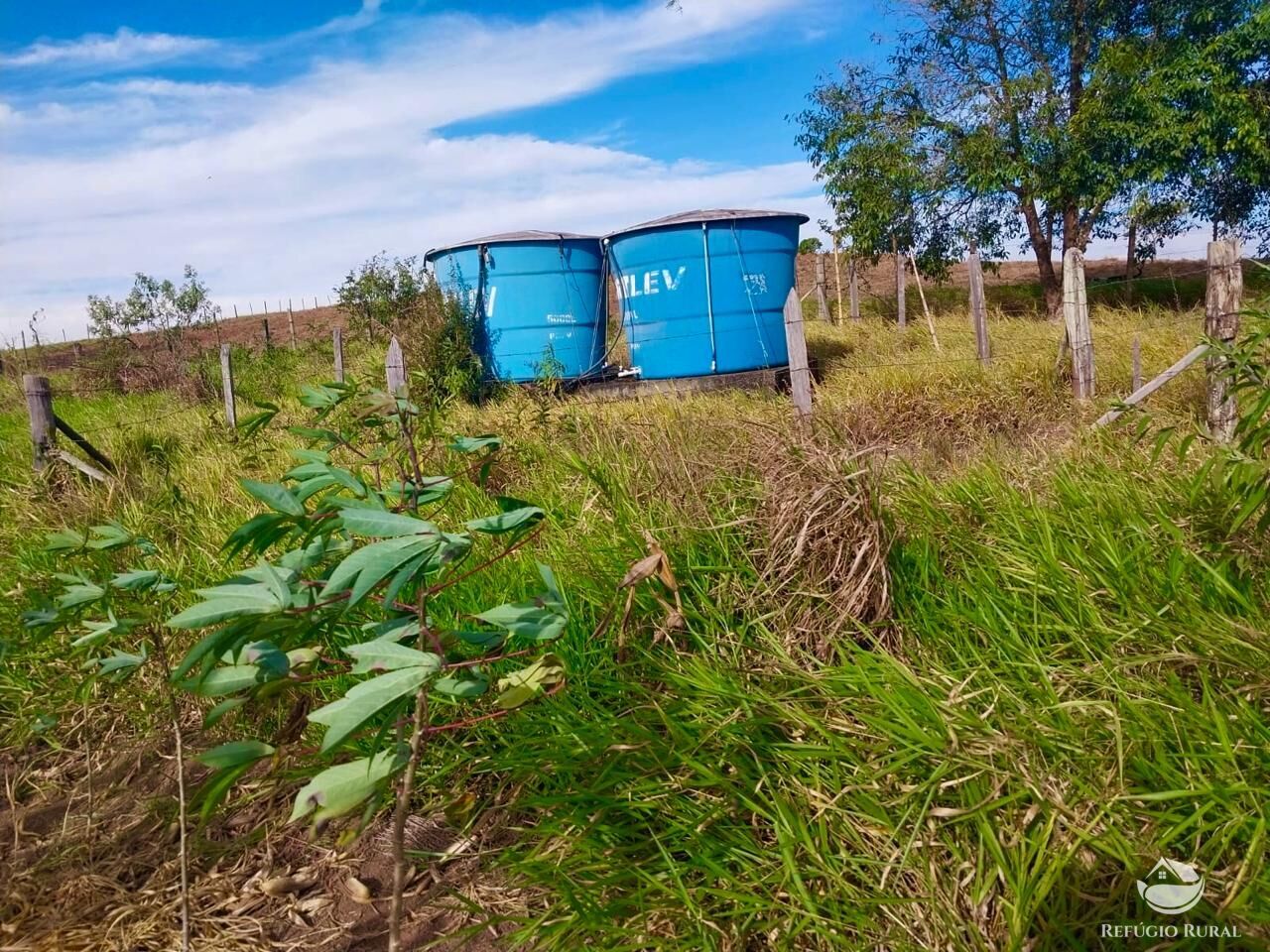 Chácara, 2 quartos, 2 hectares - Foto 13