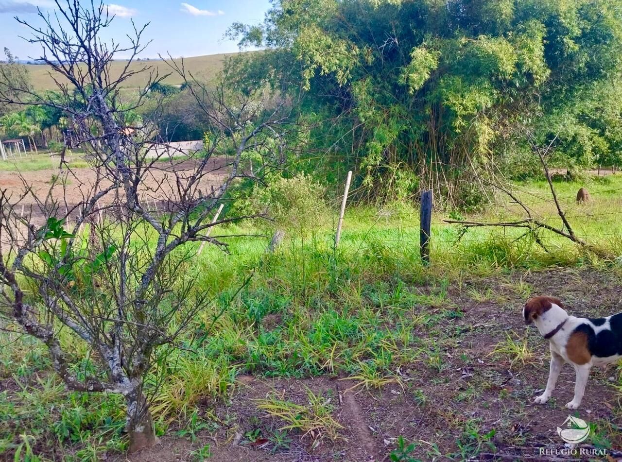 Chácara, 2 quartos, 2 hectares - Foto 8