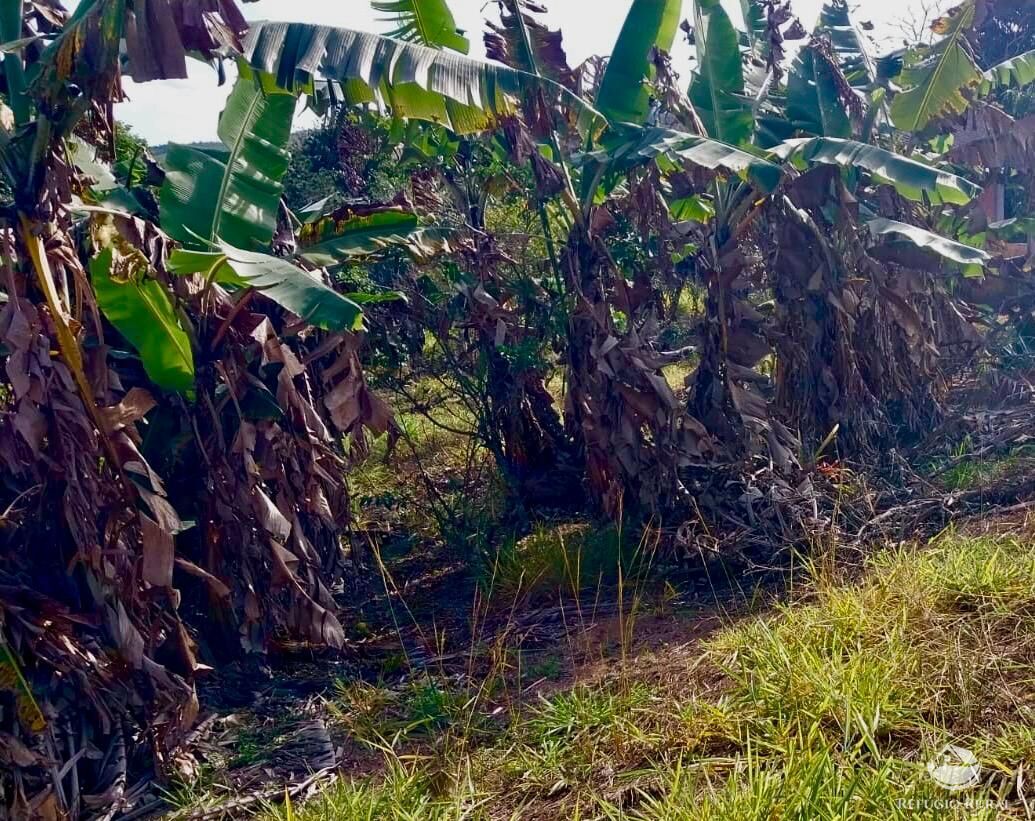 Chácara, 2 quartos, 2 hectares - Foto 10