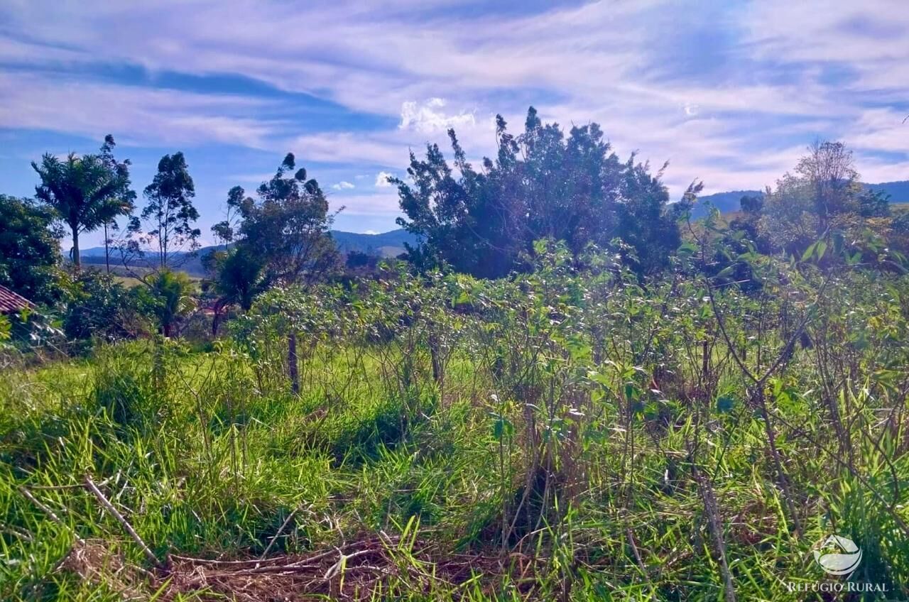 Chácara, 2 quartos, 2 hectares - Foto 5