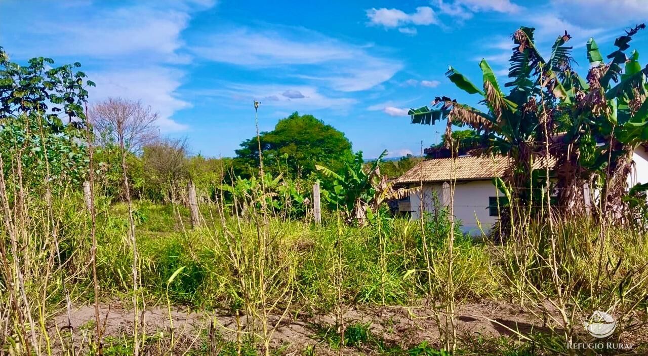 Chácara, 2 quartos, 2 hectares - Foto 3