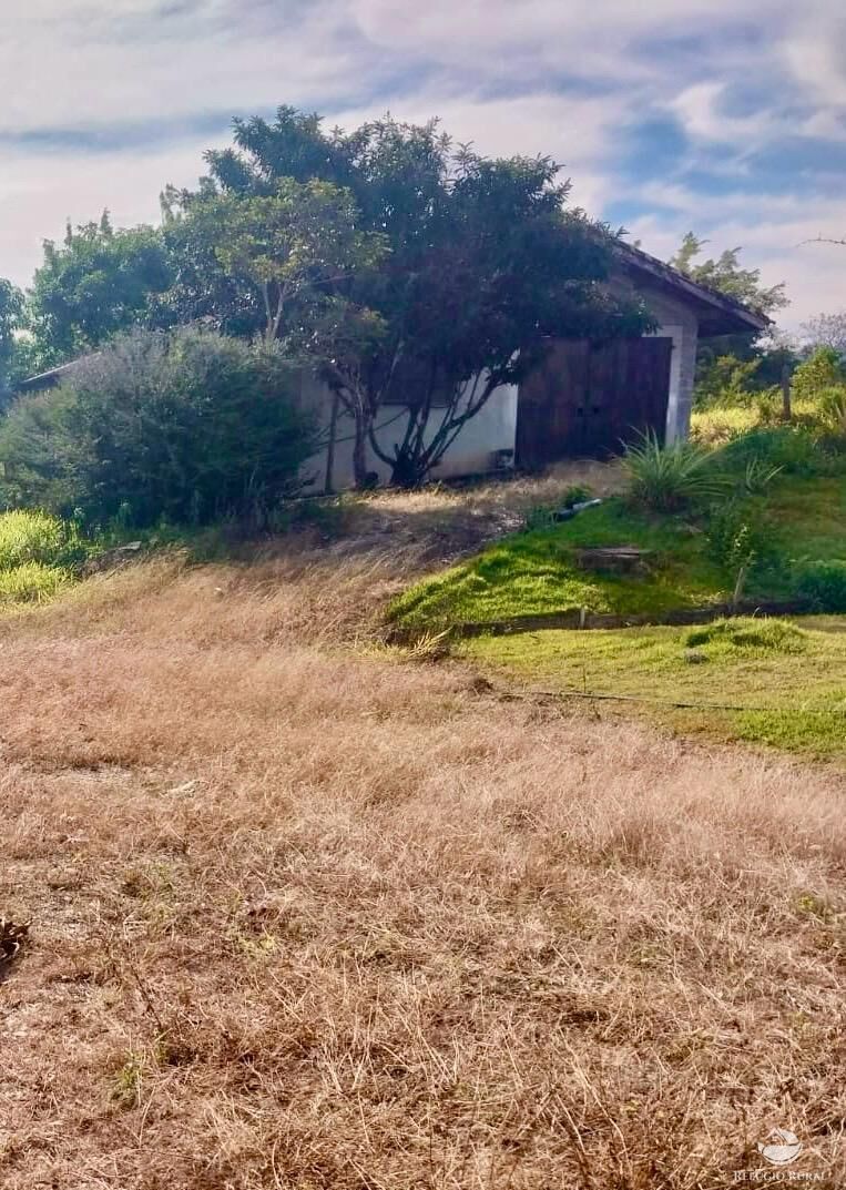 Chácara, 2 quartos, 2 hectares - Foto 6