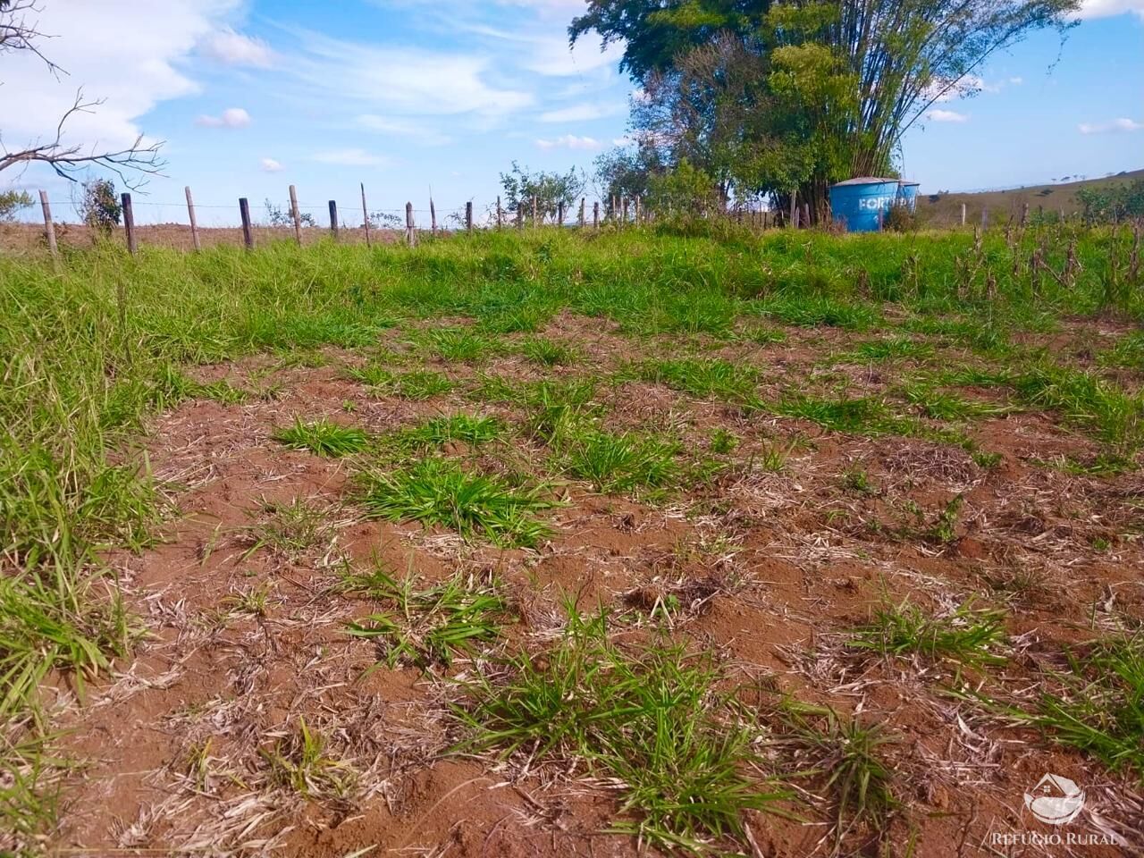 Chácara, 2 quartos, 2 hectares - Foto 17