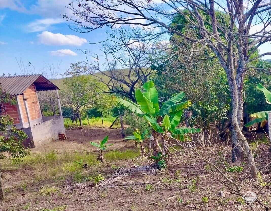 Chácara, 2 quartos, 2 hectares - Foto 14