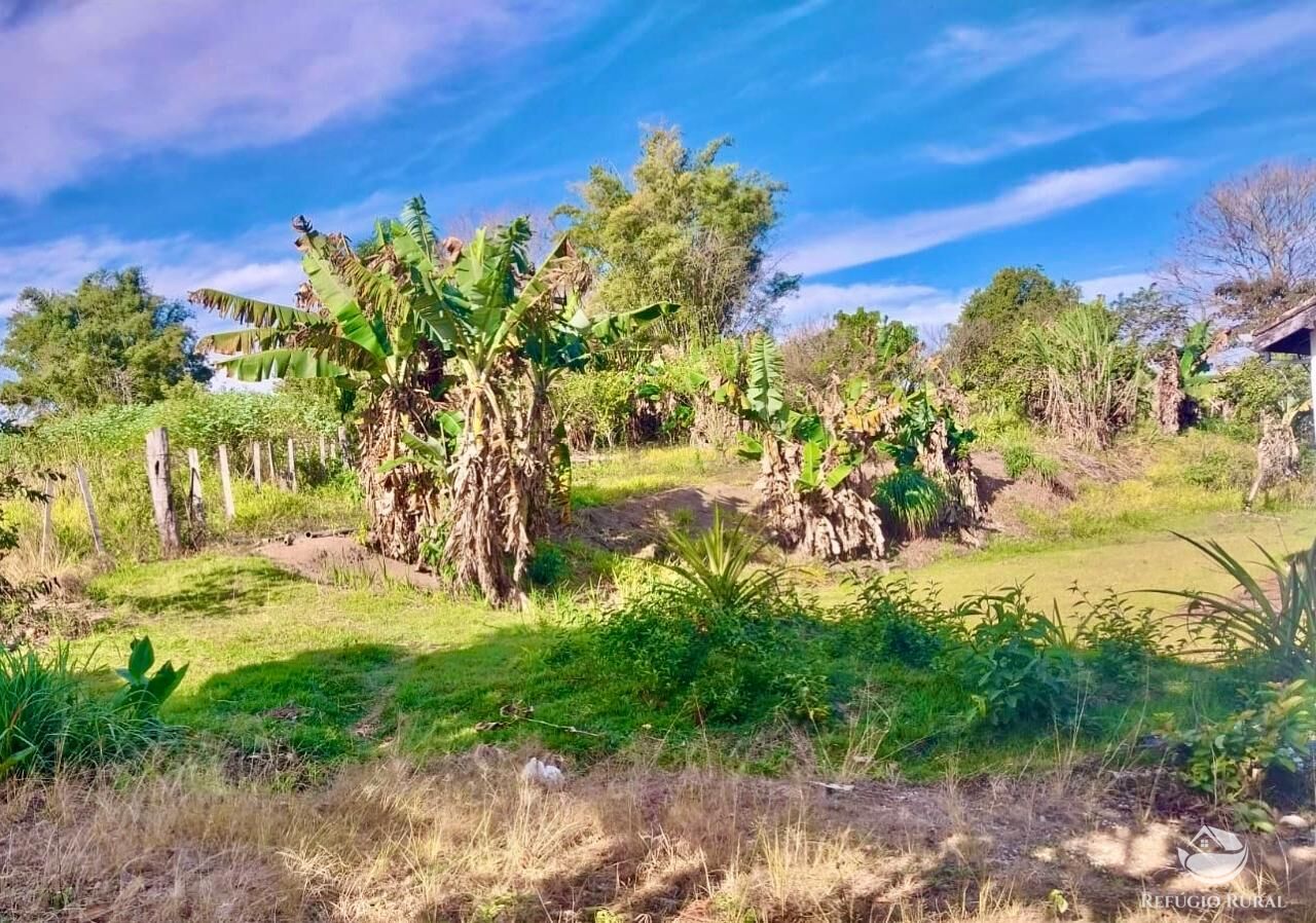 Chácara, 2 quartos, 2 hectares - Foto 24