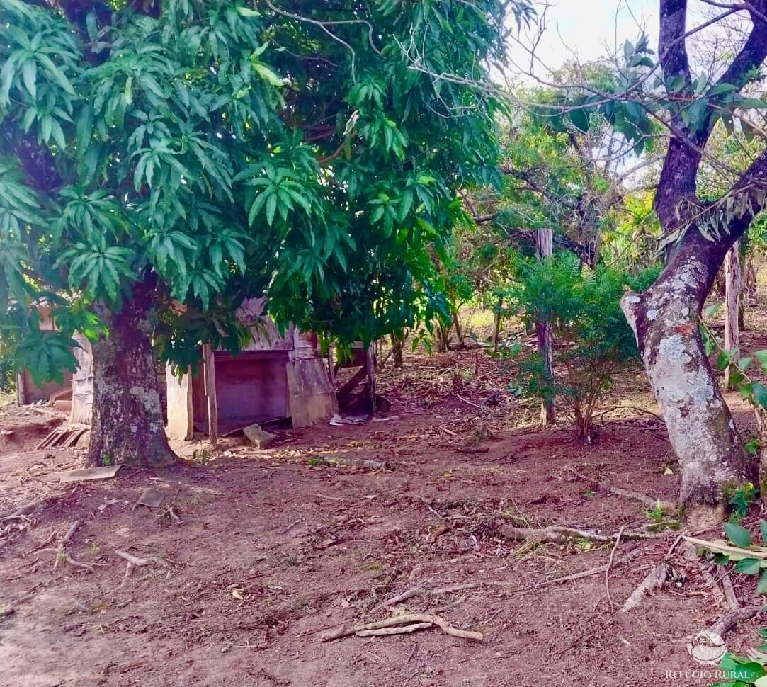 Chácara, 2 quartos, 2 hectares - Foto 7