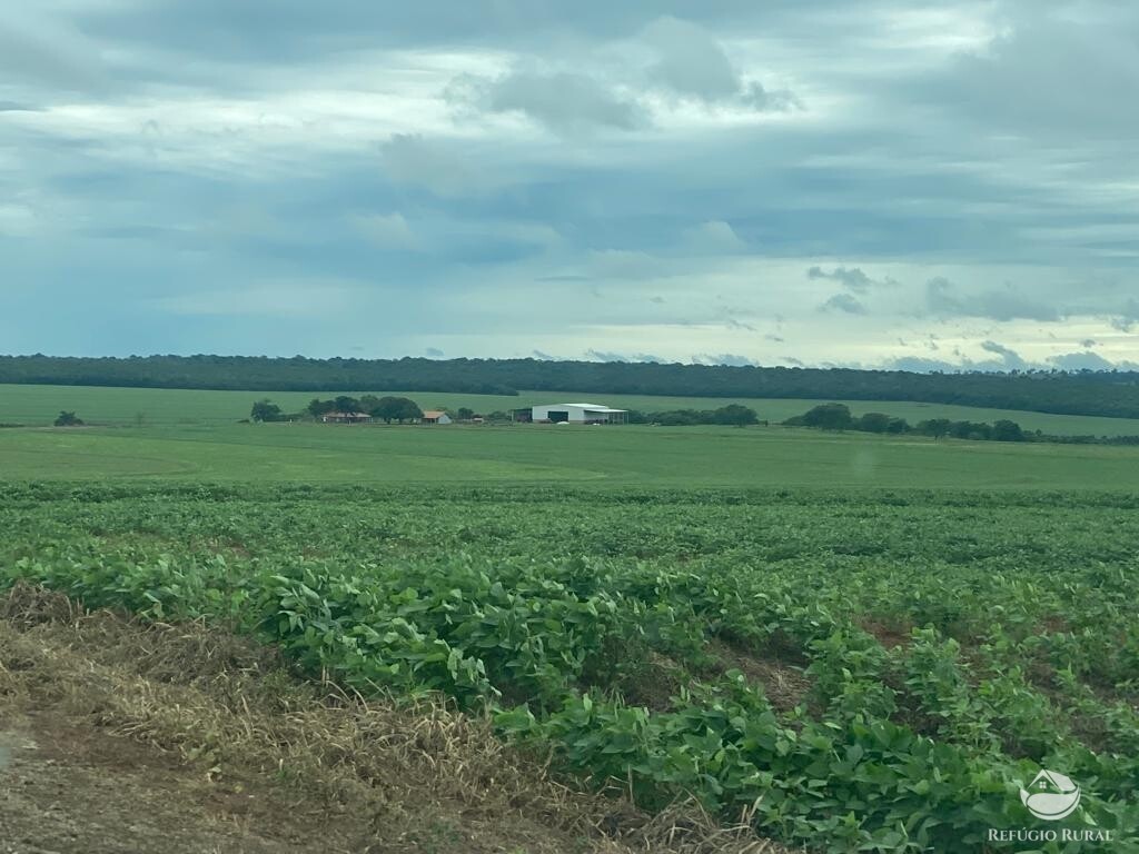 Fazenda à venda com 1 quarto, 83000000m² - Foto 24