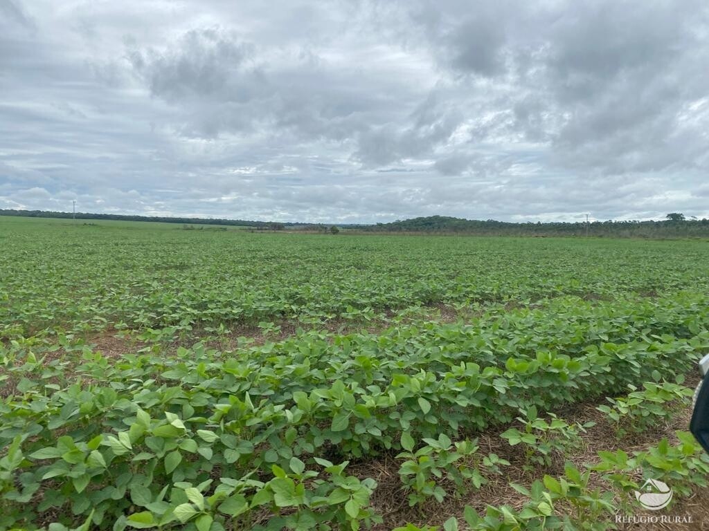 Fazenda à venda com 1 quarto, 83000000m² - Foto 4