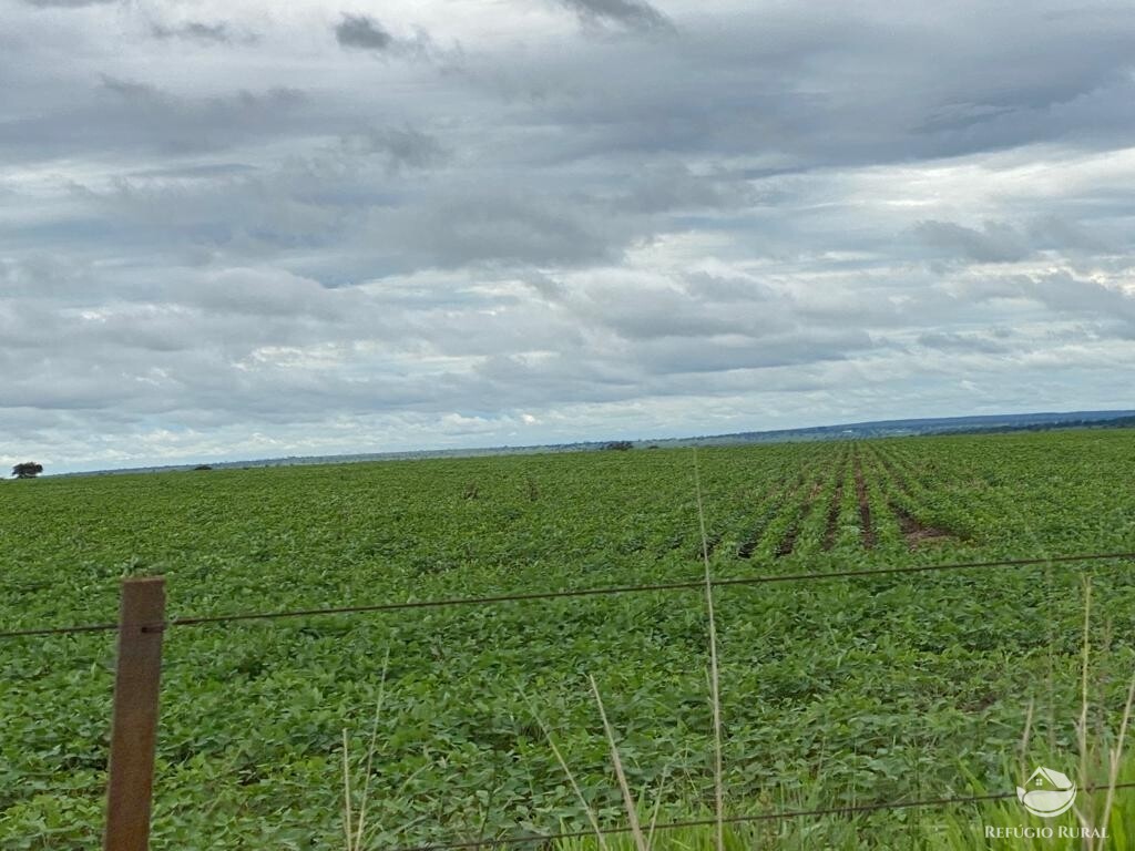 Fazenda à venda com 1 quarto, 83000000m² - Foto 26