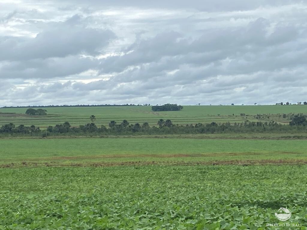 Fazenda à venda com 1 quarto, 83000000m² - Foto 11