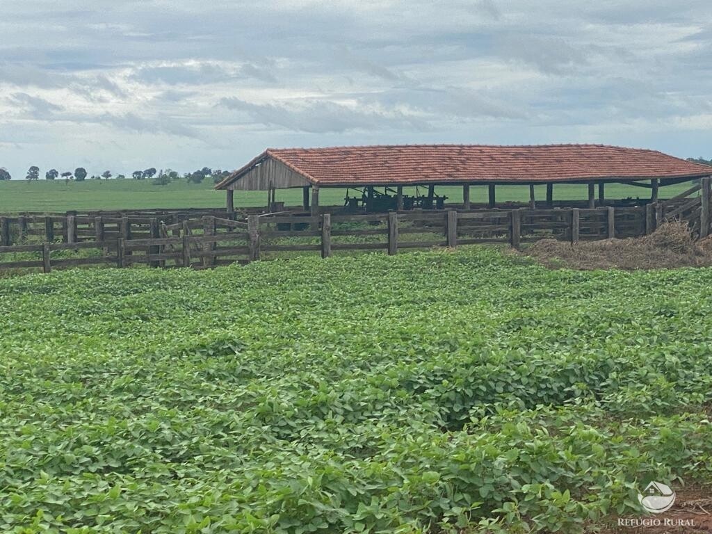 Fazenda à venda com 1 quarto, 83000000m² - Foto 3