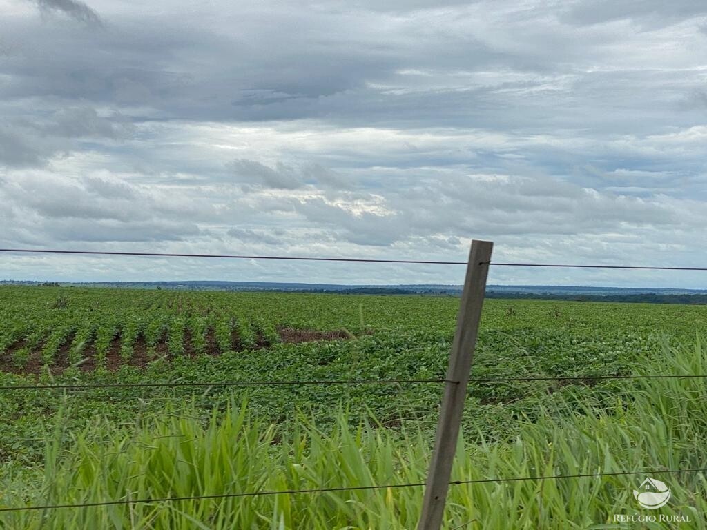 Fazenda à venda com 1 quarto, 83000000m² - Foto 27