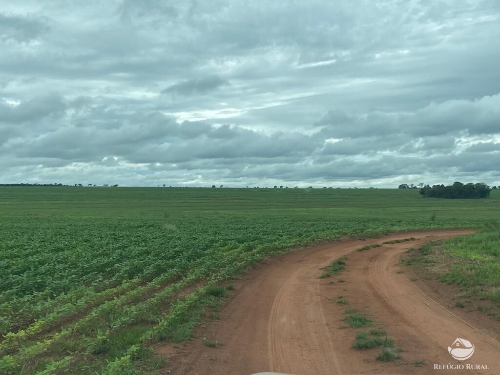 Fazenda à venda com 1 quarto, 83000000m² - Foto 30