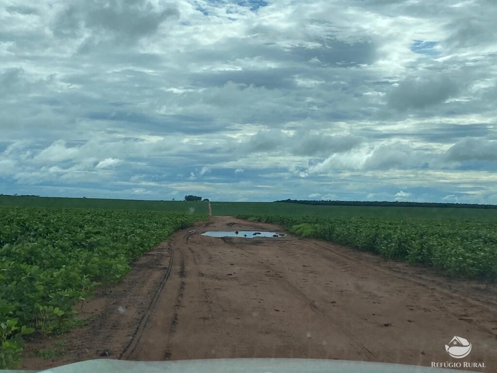 Fazenda à venda com 1 quarto, 83000000m² - Foto 16