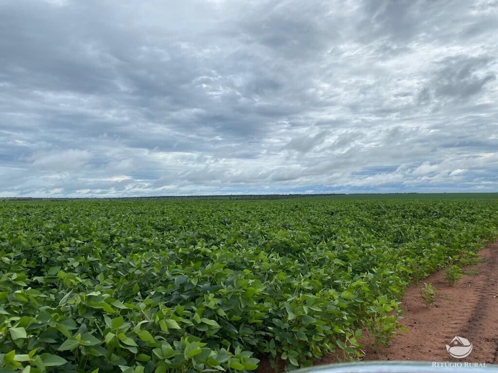 Fazenda à venda com 1 quarto, 83000000m² - Foto 18