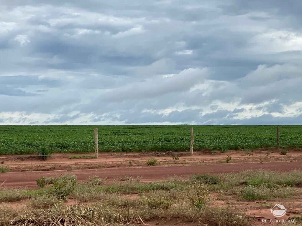 Fazenda à venda com 1 quarto, 83000000m² - Foto 22