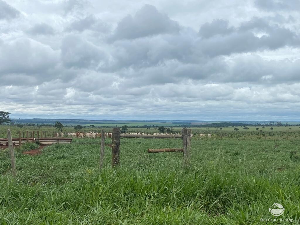 Fazenda à venda com 1 quarto, 83000000m² - Foto 12