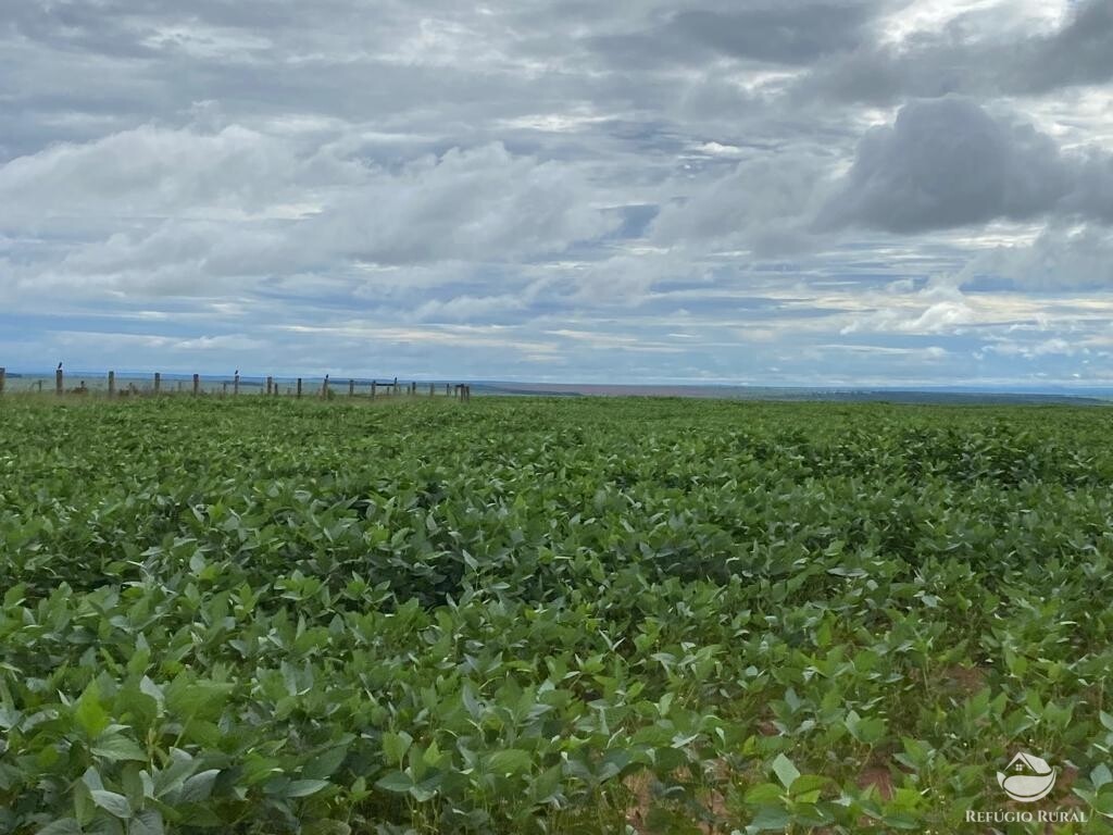 Fazenda à venda com 1 quarto, 83000000m² - Foto 28