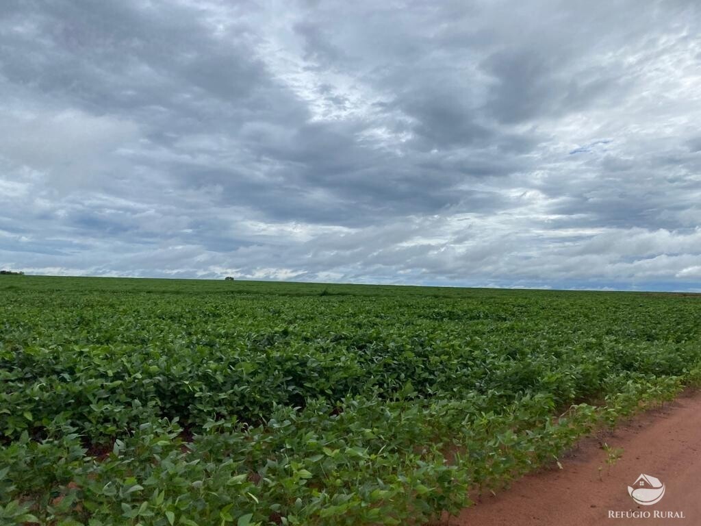 Fazenda à venda com 1 quarto, 83000000m² - Foto 21