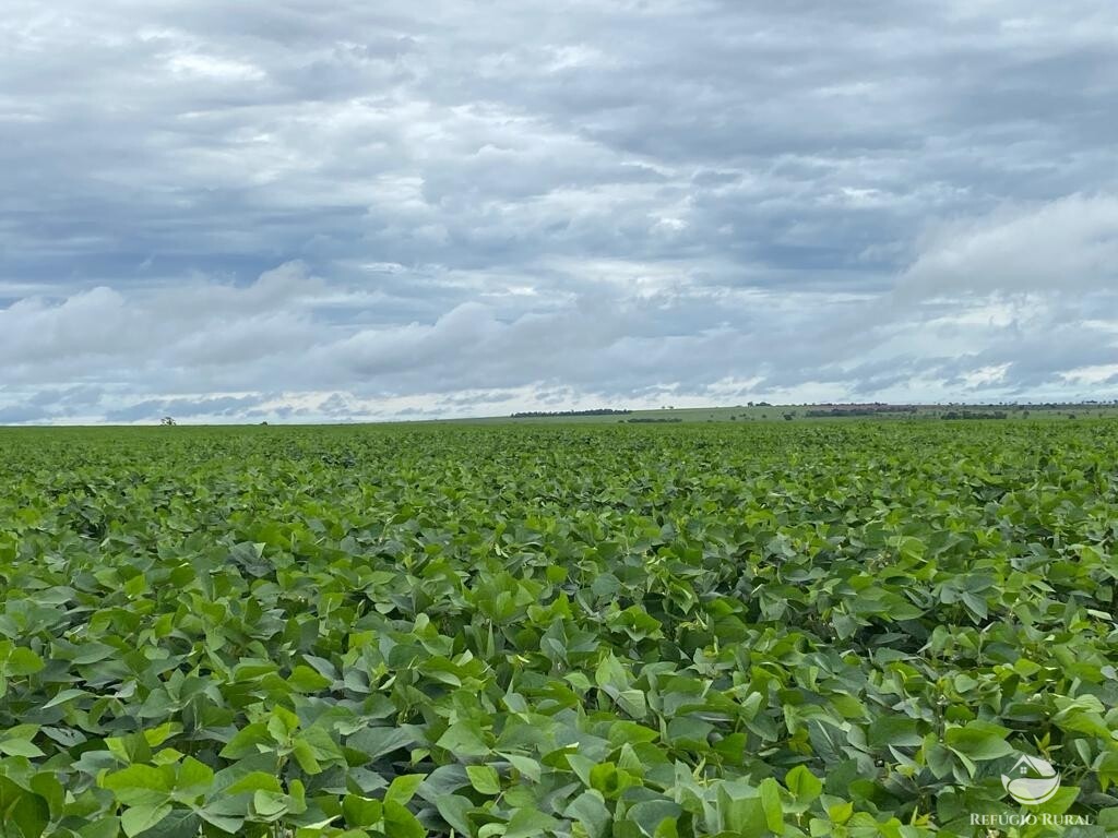 Fazenda à venda com 1 quarto, 83000000m² - Foto 20