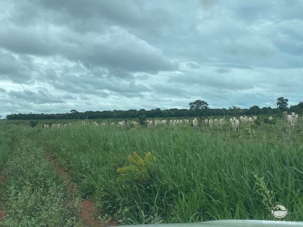 Fazenda à venda com 1 quarto, 83000000m² - Foto 10