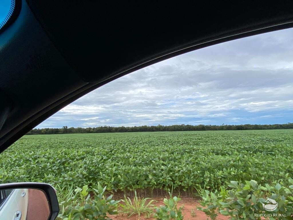 Fazenda à venda com 1 quarto, 83000000m² - Foto 23