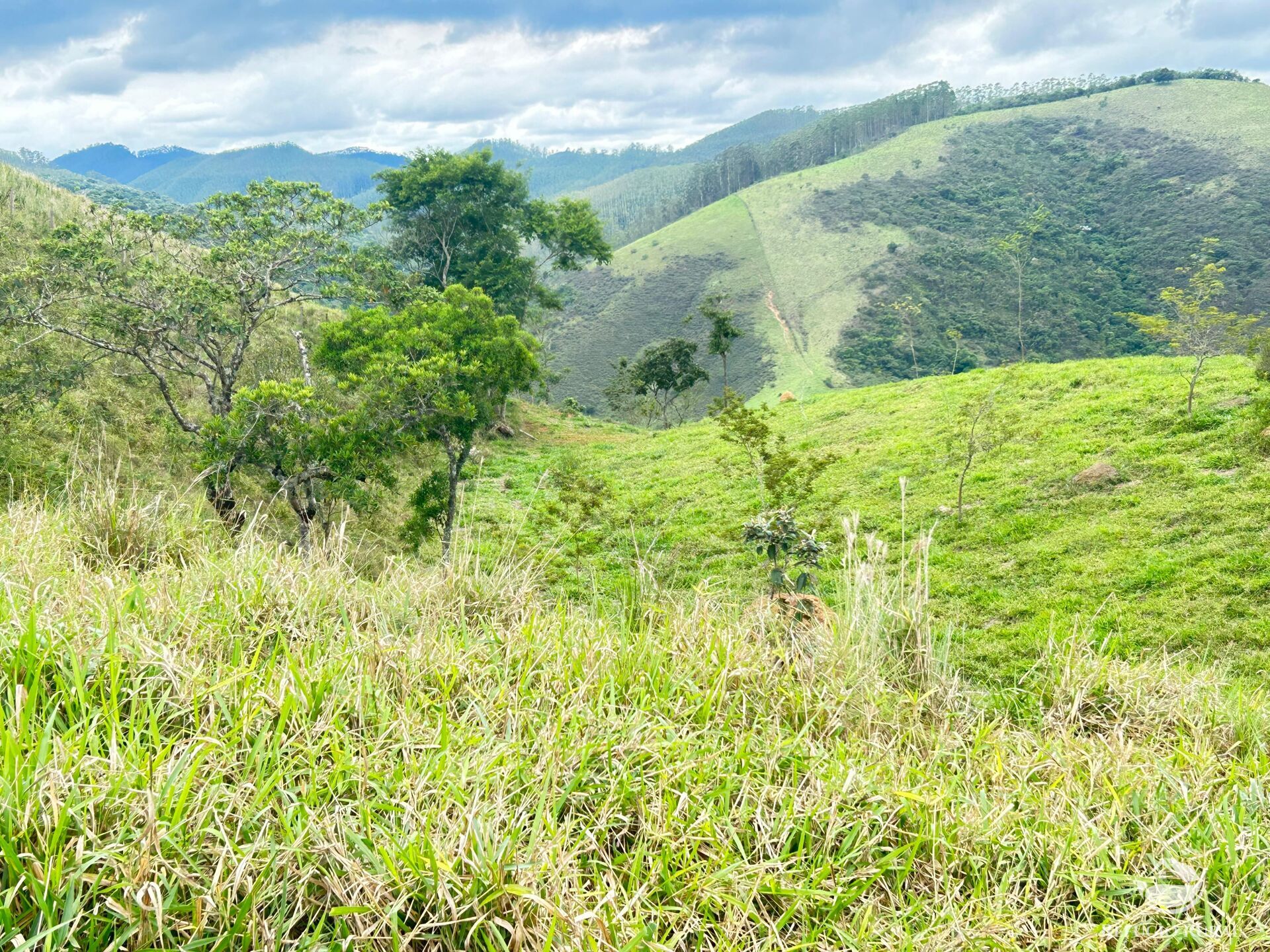 Terreno à venda, 20000m² - Foto 18