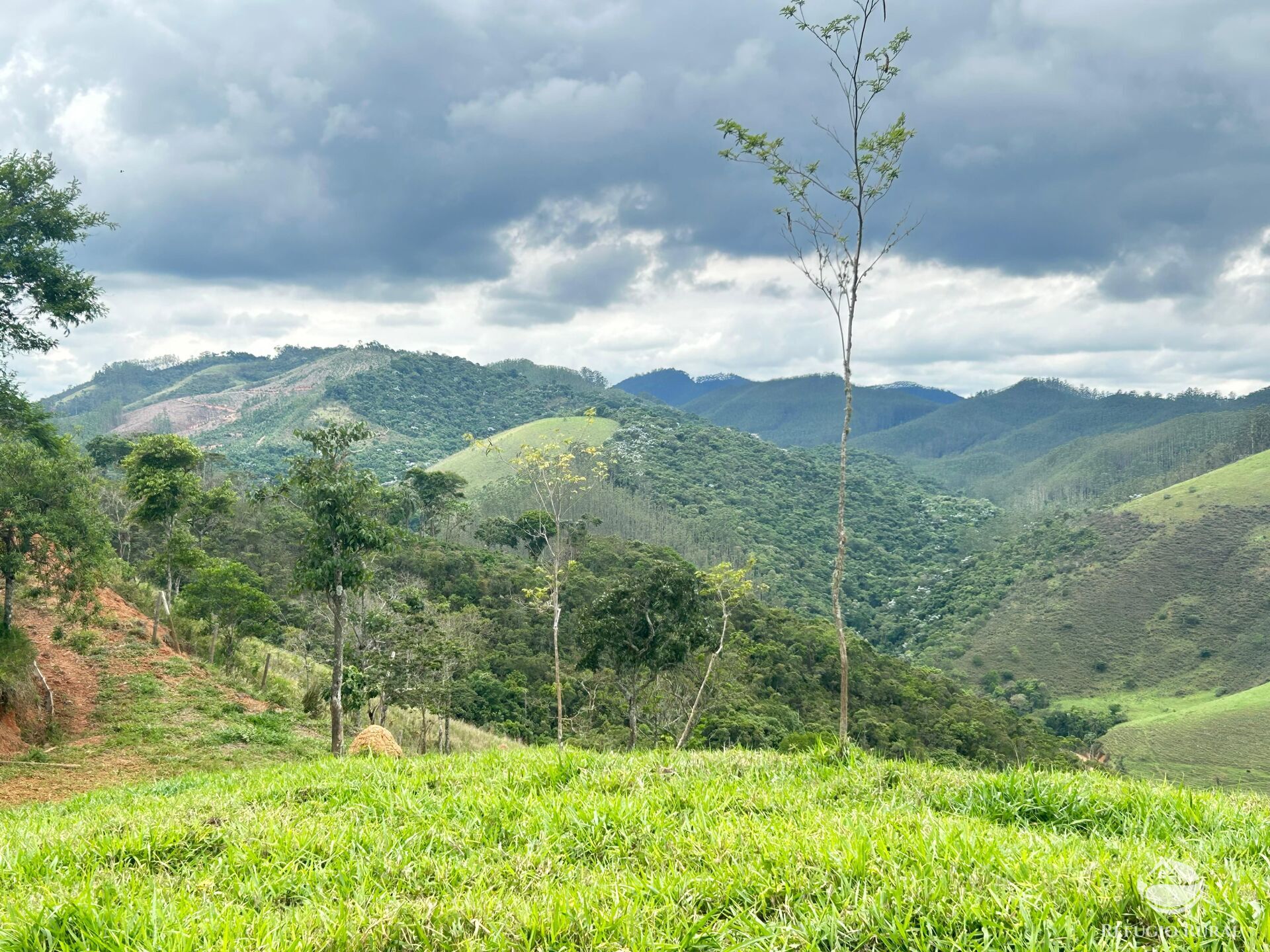 Terreno à venda, 20000m² - Foto 9