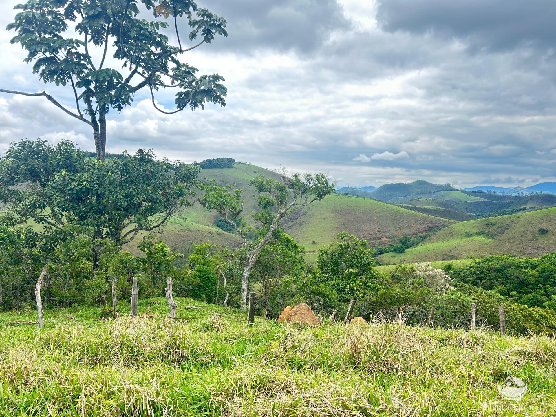 Terreno à venda, 20000m² - Foto 3
