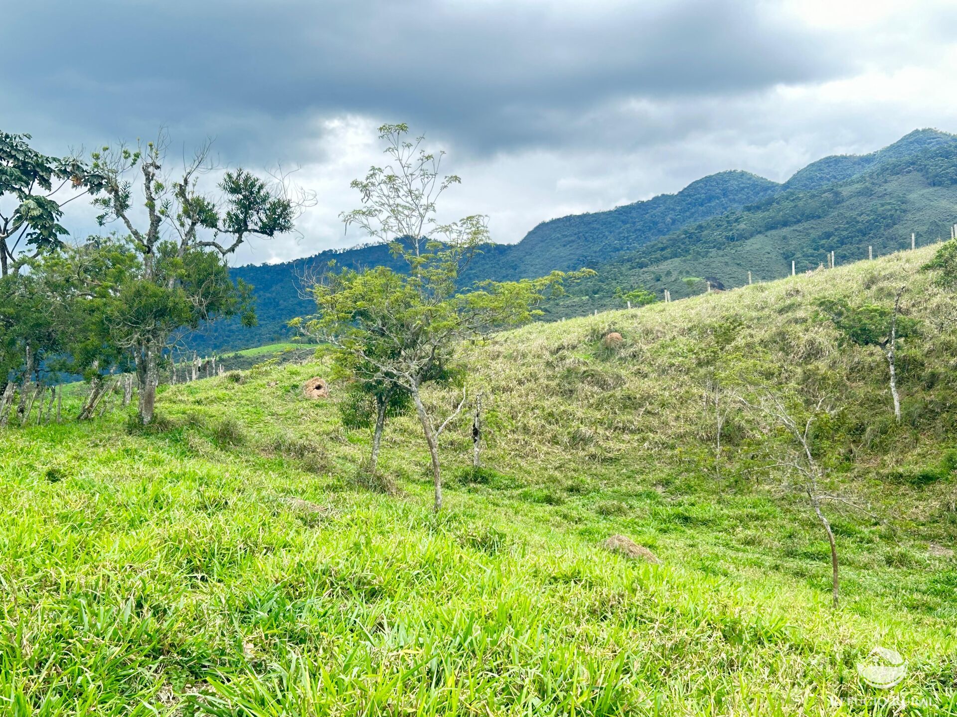 Terreno à venda, 20000m² - Foto 13