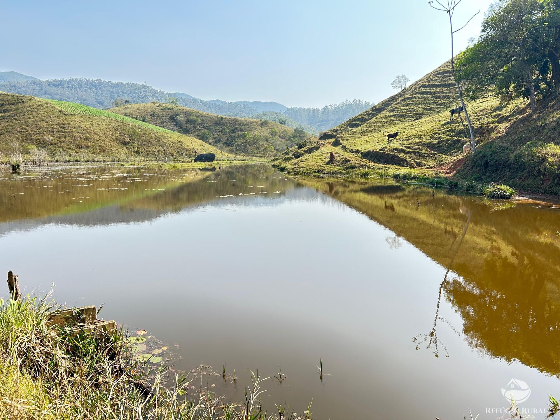 Fazenda à venda com 2 quartos, 96800m² - Foto 14