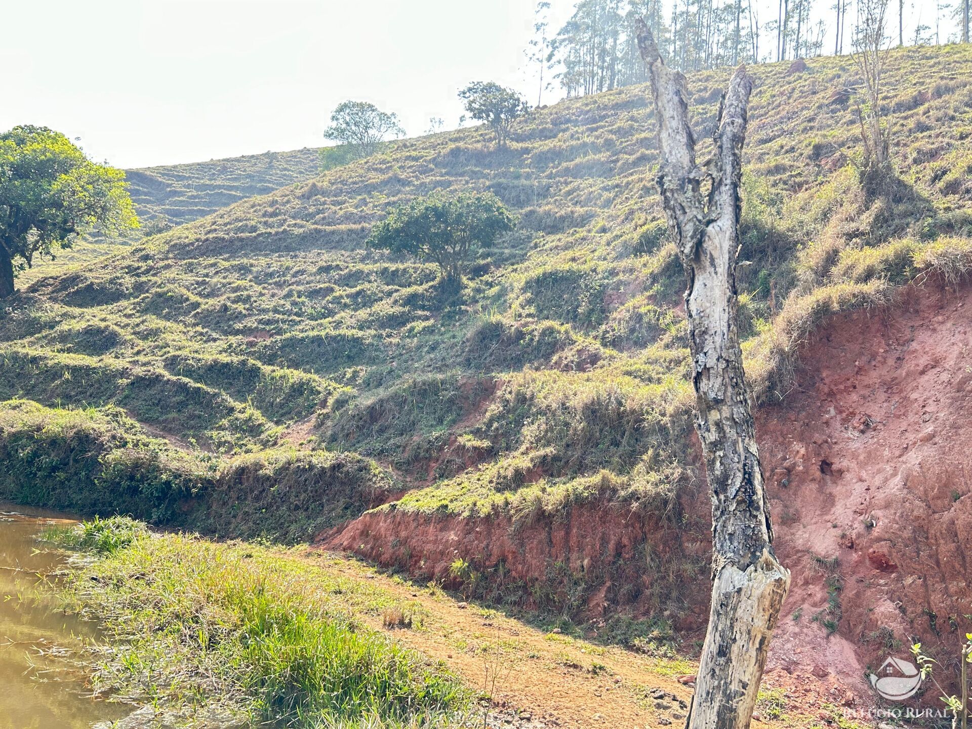 Fazenda à venda com 2 quartos, 96800m² - Foto 16