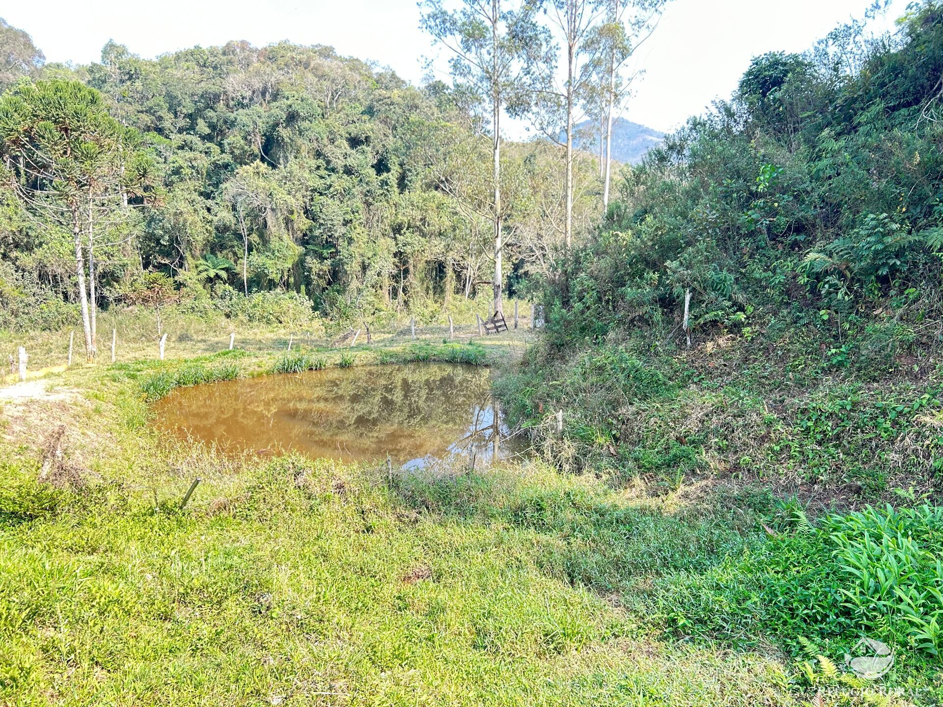 Fazenda à venda com 2 quartos, 96800m² - Foto 11